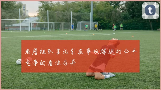 老詹组队言论引发争议球迷对公平竞争的看法各异