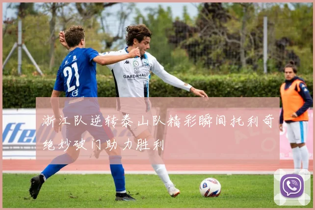 浙江队逆转泰山队精彩瞬间托利奇绝妙破门助力胜利